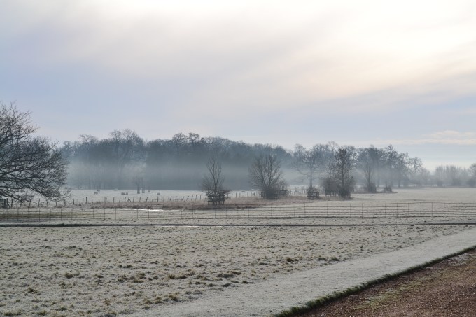 Wimpole Hall Monday 20 January 020