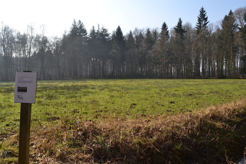 February 2015 incl trip to Holland 043