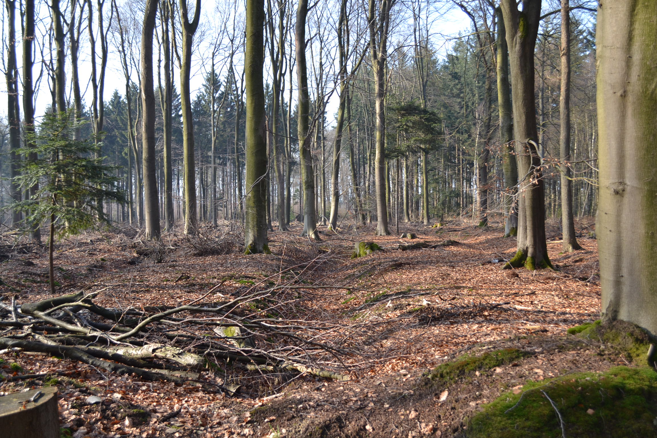 February 2015 incl trip to Holland 065