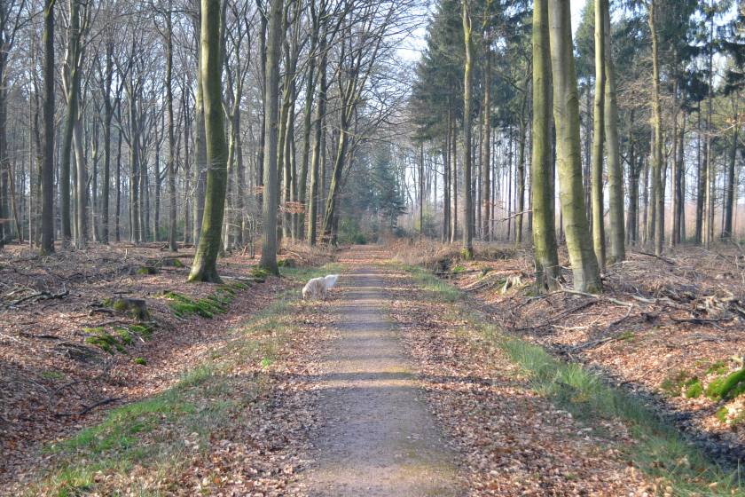 February 2015 incl trip to Holland 069