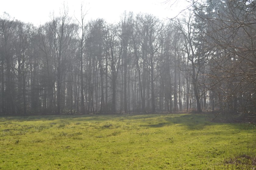 February 2015 incl trip to Holland 096