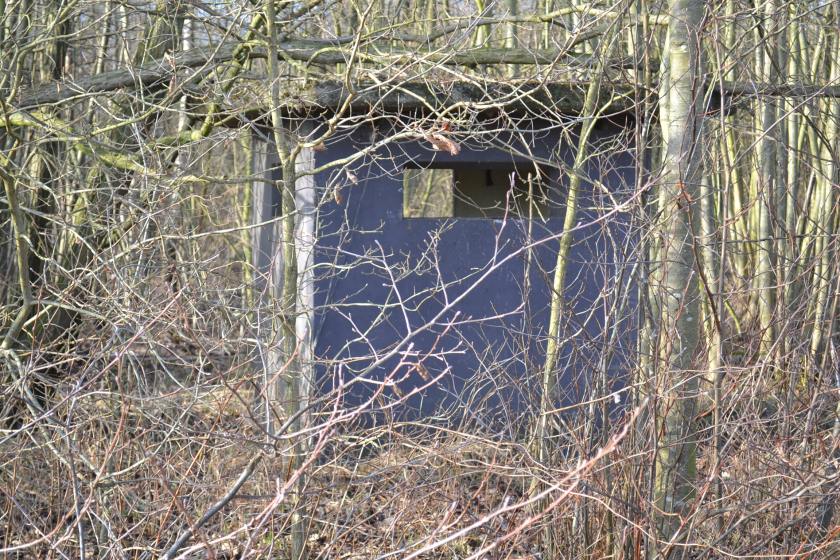 February 2015 incl trip to Holland 150